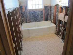 bathroom with plaster removed